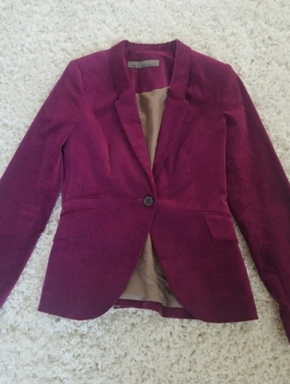 Zara Velvet Blazer